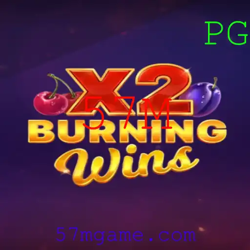 Descubra a Emoção do Jogo BurningWinsX2 e a Surpreendente Chave 57M