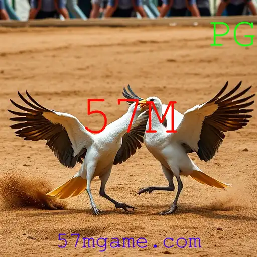 Jogos de sabong